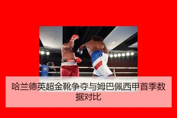 ha-lan-de-ying-chao-jin-xue-zheng-duo-yu-mu-ba-pei-xi-jia-shou-ji-shu-ju-dui-bi-3-397.jpg