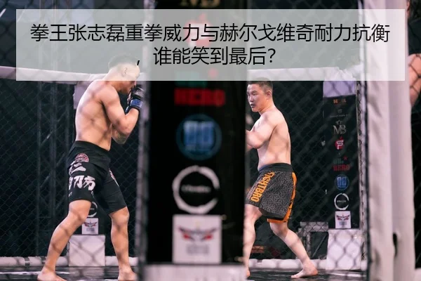 拳王张志磊重拳威力与赫尔戈维奇耐力抗衡，谁能笑到最后？