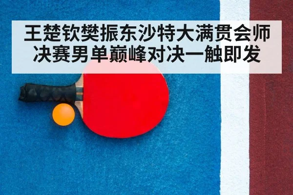 table tennis racket